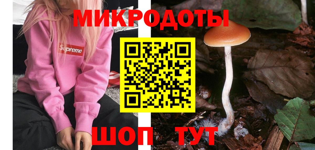Тимашёвск  Галлюциногенные грибы MAGIC MUSHROOMS  Вход с VPN 