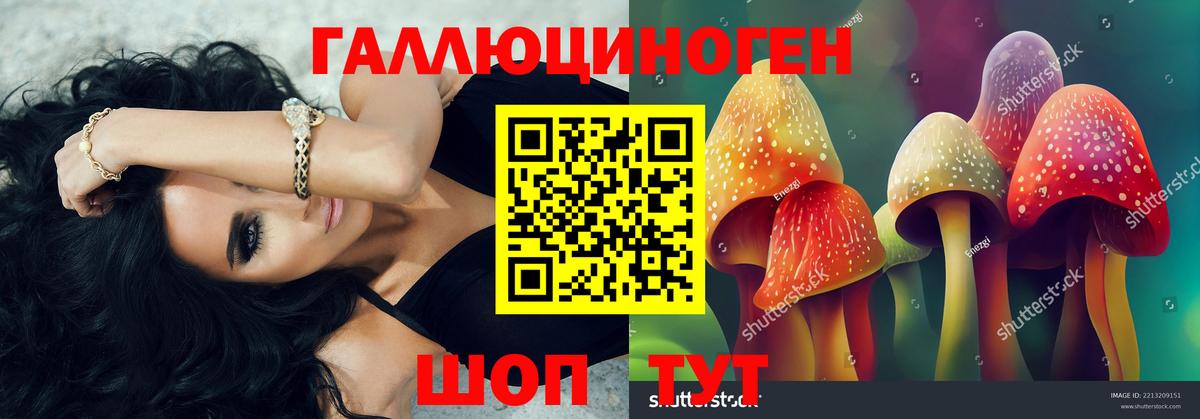 Псилоцибиновые грибы мухоморы Тимашёвск